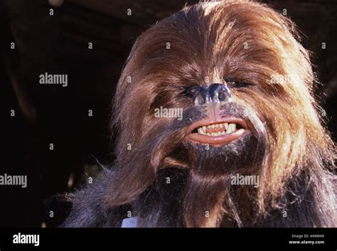 Head Shot Of Actor In Star Wars Wookie Chew Baka Costume At Mgm Studios