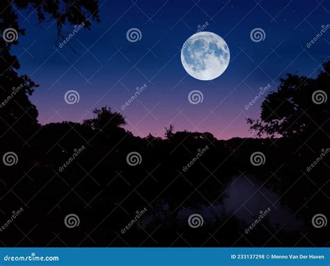 Moonrise Over A Lake In The Forest Stock Illustration Illustration Of