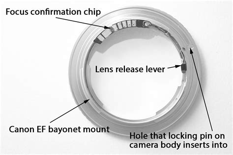 Lens Mount Adapters Discover Digital Photography