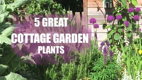 The cottage garden is a distinct style that uses informal design, traditional materials, dense plantings, and a mixture of ornamental and edible plants. 5 Plants for a Cottage Garden - YouTube | Cottage garden ...
