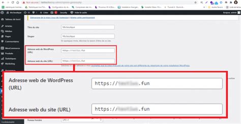 Comment changer le nom de domaine de votre site Wordpress Blog LWS hébergement web noms de