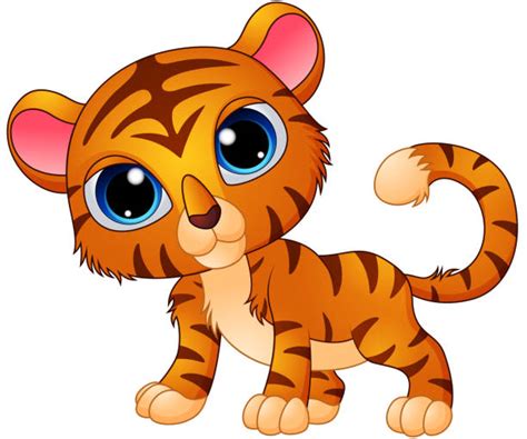 Cartoon Of A Baby Tiger Illustrations Royalty Free Vector Graphics
