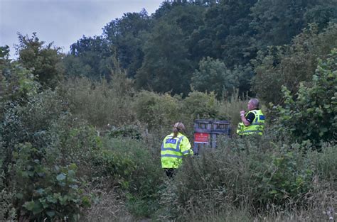 police comb woods in search operation for missing trowbridge man