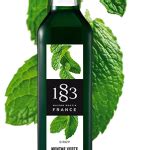 Green Mint Syrup L Gourmet Syrups Maison Routin