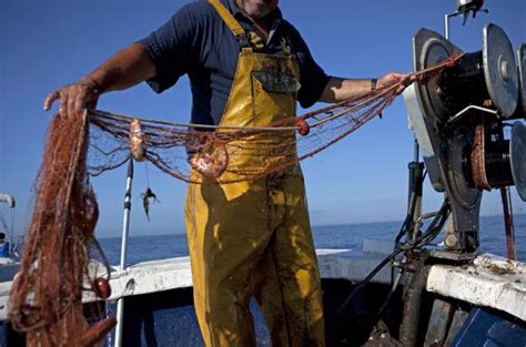 La Pesca Industrial Vierte Al Mar Cada Año 10 Millones De Toneladas De
