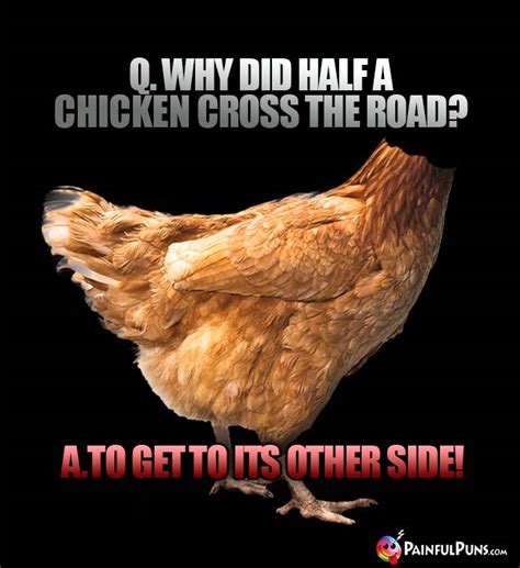 Lista 90 Foto Why Did The Chicken Cross The Road El último 102023