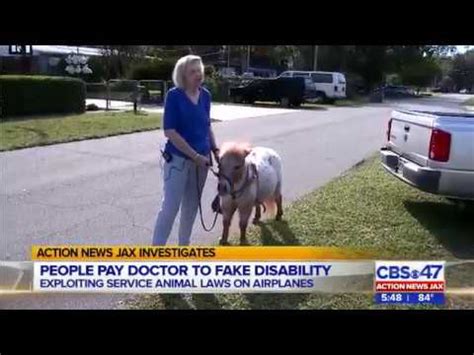 A permanent placard can be obtained free of cost by the eligible applicant. Fake service animals: 'Like parking in handicap spot when ...