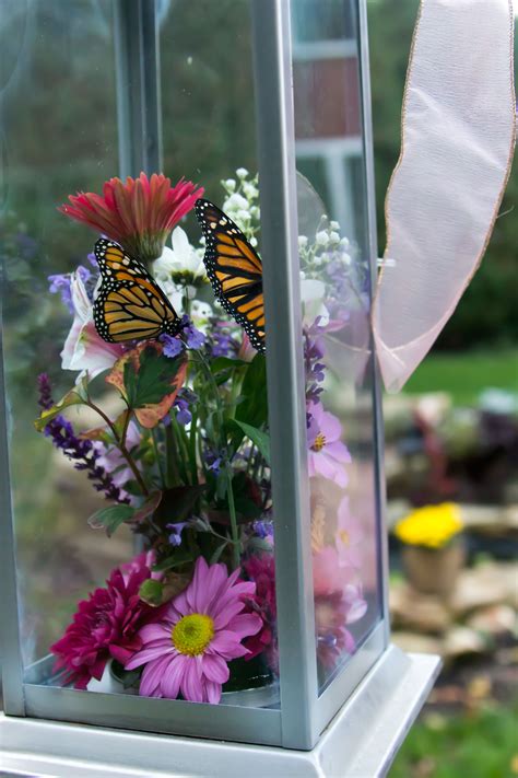 Butterfly Bouquets And Butterfly Centerpieces Live Butterflies