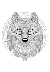 Coloriage mandala loup lune best amazon fr bestiaire. Tete de loup - Coloriages Difficiles pour Adultes