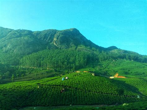 Munnar Wallpapers Wallpaper Cave