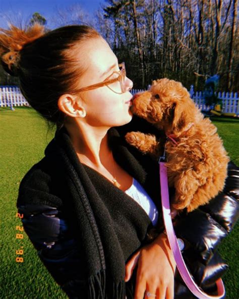 We did not find results for: Millie Bobby Brown adopta a un perro para calmar su ansiedad