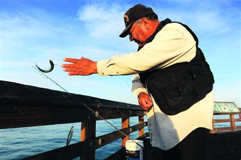 How To Go Pier Fishing In Southern California Daily News