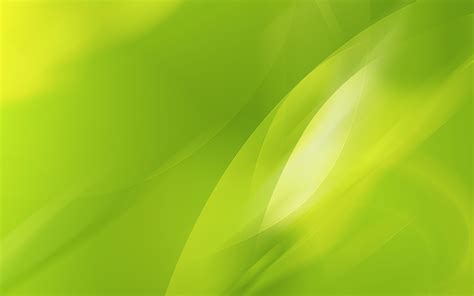 Lime Green Backgrounds Wallpaper Cave