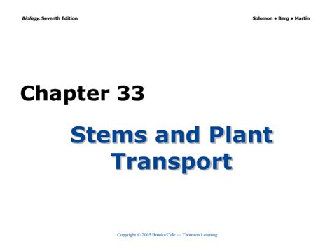 Stems And Plant Transport Chapter 33 Biology