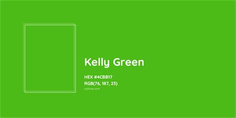 Kelly Green Complementary Or Opposite Color Name And Code 4CBB17
