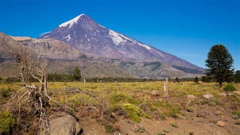 View Of Lanin Volcano In National Park Of Argentina Stock Image Image