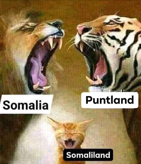 Funny picture | Somali Spot | Forum, News, Videos