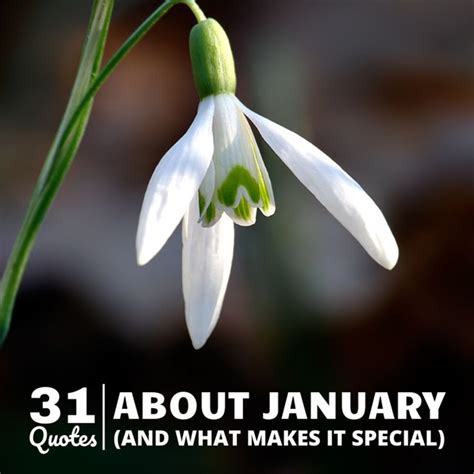 Here Are 31 Quotes About January—one For Each Day In The Month These