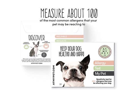 Try This Doggy Allergy Kit Thatll Test For 100 Allergens