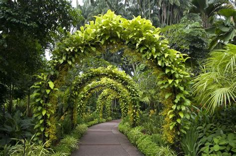 Dieser botanische garten ist noch ein geheimtipp, er wurde im februar 2005 eröffnet. Botanischer Garten Am Bedugul Bali Stockfoto - Bild von ...