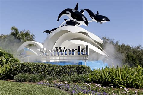 Sea World Guests Shocked At Trash Overflowing Theme Park