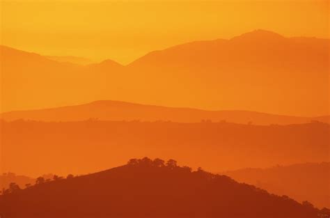Miranda Pine Sunset Photograph By Soli Deo Gloria Wilderness And