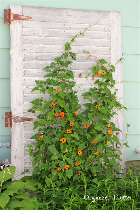 Country gardens are supposed to appear irregular and as if there's no particular design. My Friend Danita's Rustic Garden Decor | Organized Clutter