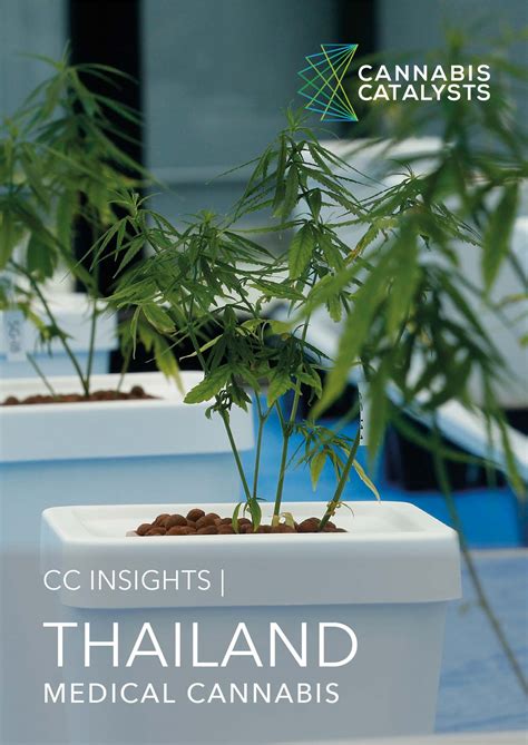 Maybe you would like to learn more about one of these? CC Insights | Thailand Medical Cannabis — Cannabis Catalysts