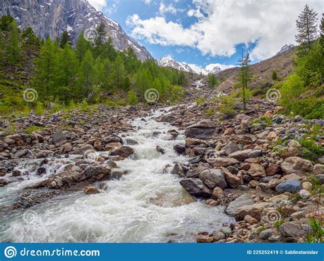 Mountain River Flow Through Forest Beautiful Alpine Landscape With