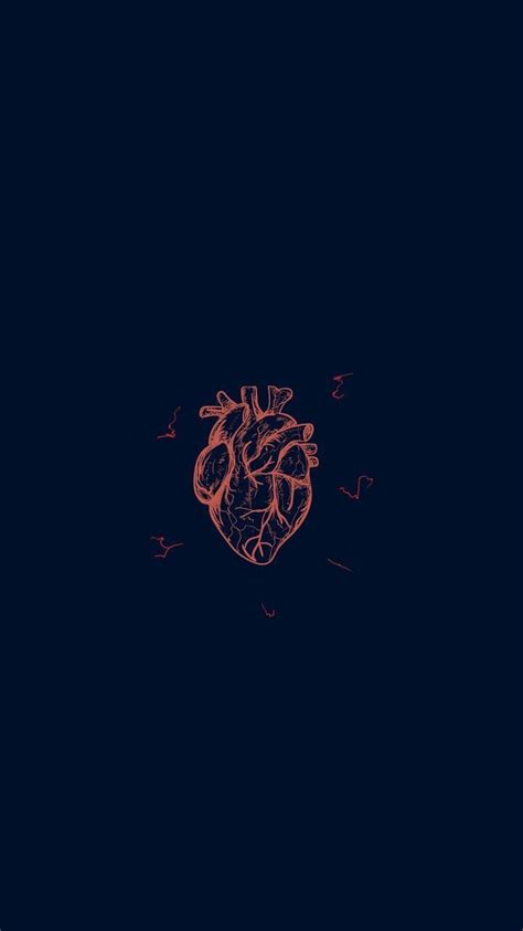 Cardiology Wallpapers Top Free Cardiology Backgrounds Wallpaperaccess