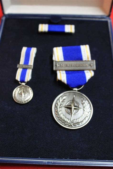 Nato Meritorious Service Medal Set Rustys