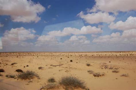 Amazing Desert Landscapes Taste Full Tours