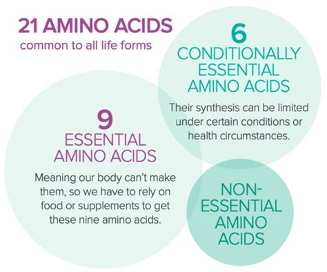 Amino Acids For Healthy Hair Skin And Nails Womens Voice Us