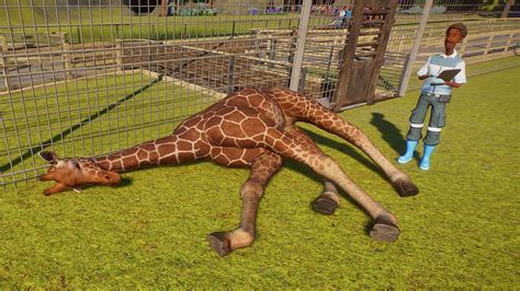 Planet Zoo Update 123 Released Improvements And Bug Fixes
