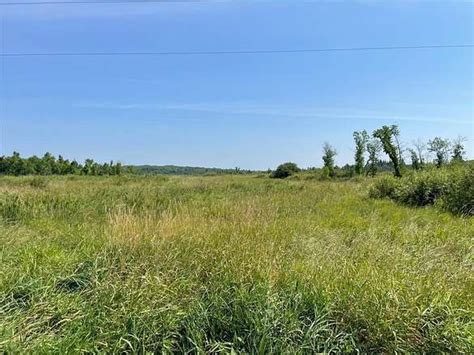 20 Acres Of Land For Sale In Fish Lake Township Minnesota Landsearch