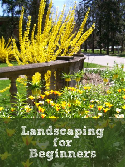 Landscaping Tips For Beginners Newlywed Survival