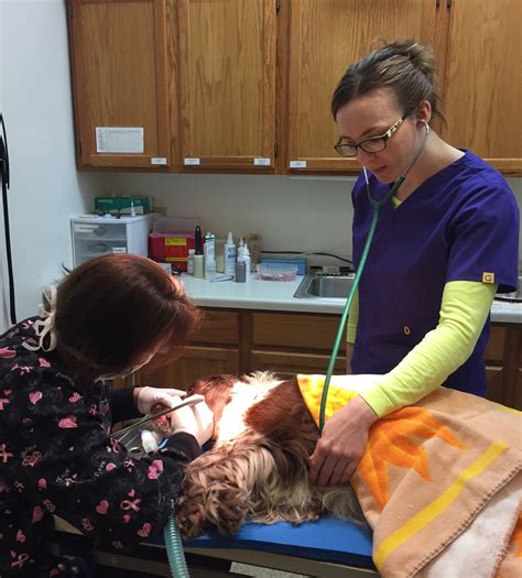 For general information, questions, appointment requests, call us at Veterinary Services in Bloomington, MN 55438 | Bush Lake ...