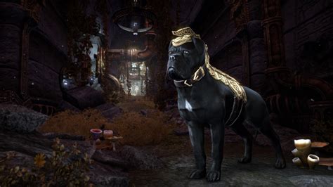 How to get to morrowind and start the expansion in elder scrolls online: The Elder Scrolls Online: Morrowind - Reviews, Release ...