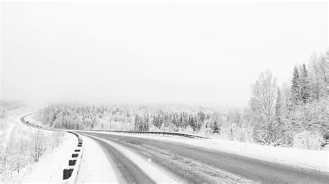 Wallpaper White Snow Winter Trees Road Minimalism Forest