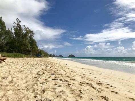 Maybe you would like to learn more about one of these? Bellows Air Force Station - UPDATED 2018 Prices ...