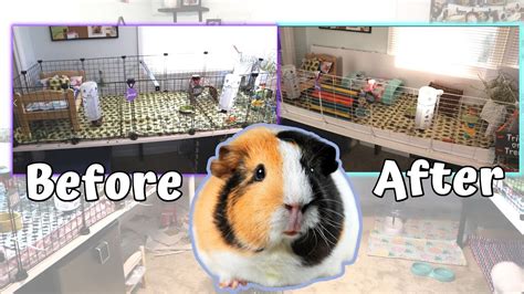 Guinea Pig Cage Makeover How To Build A C C Cage YouTube