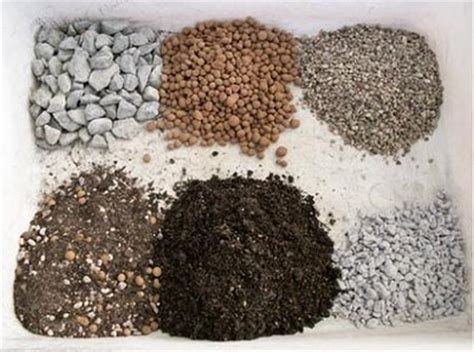 Which is the best soil for cacti and succulent plants? Cacti Care