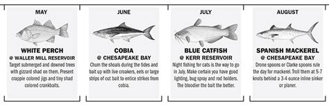 Virginia Fishing Calendar Game And Fish