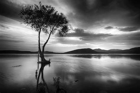 20 Beautiful Black And White Photography Images