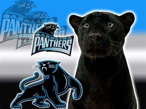 Carolina Panthers Logo 1 7ne6igzun0 Logo Cool Panther Designs