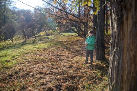 The Boy Was Lost In The Forest Looking For A Way Home The Child Stock