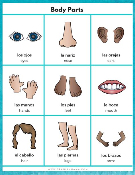 Grab This Free Spanish Body Parts Poster To Download And Use How You Like For Teaching This Is