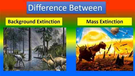 Difference Between Background Extinction And Mass Extinction Youtube