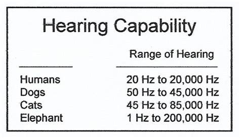 Hertz is how a sound's frequency is measured. » Using Sound as a Weapon: How Sound Frequency and ...