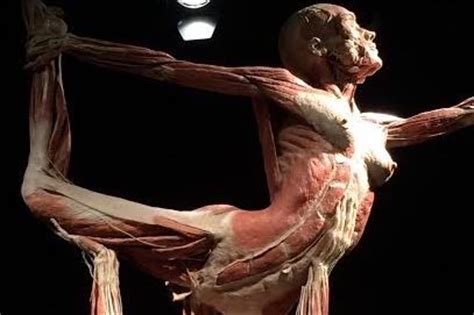 I went through a season of depression, feeling like i would never be. This 'Body Worlds' exhibition is all about the cycles of ...